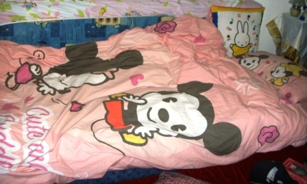 Disneyland bed products